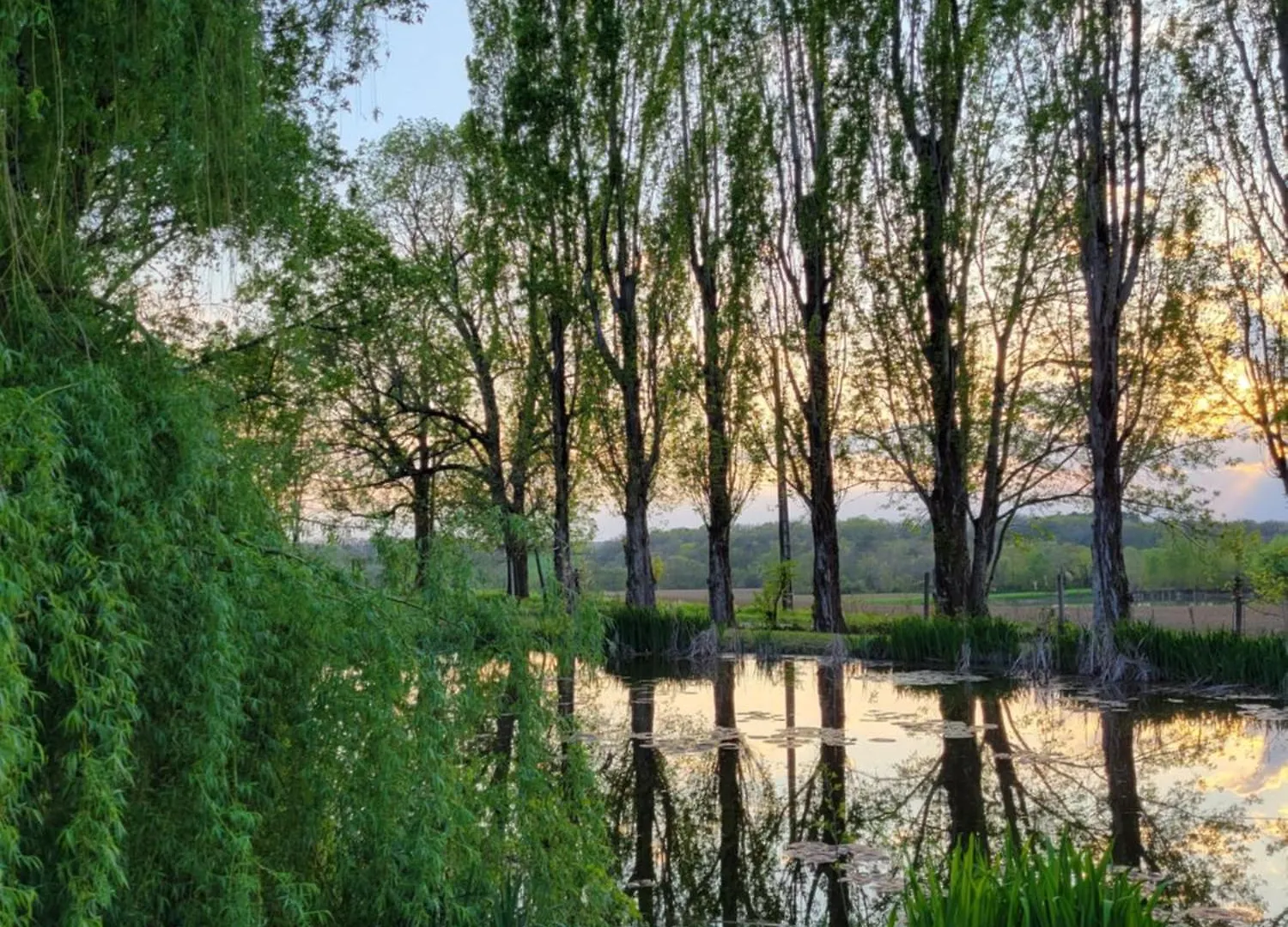 Le Flacon De La Verrouille Bruniquel Γαλλία