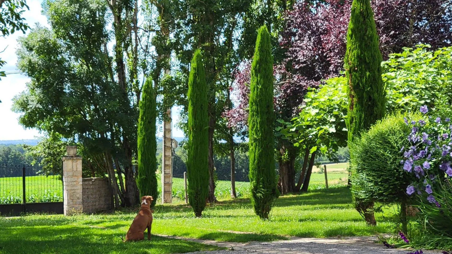 Bed and Breakfast Le Flacon De La Verrouille Bruniquel